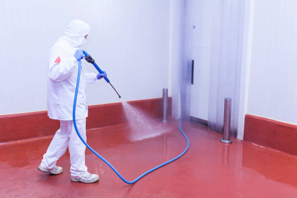 Best Solar Panel Cleaning  in Necedah, WI