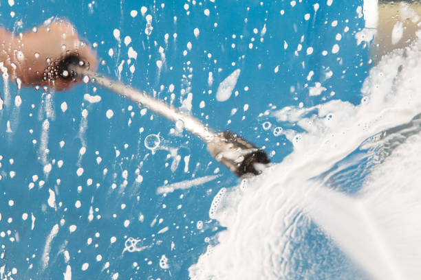 Best Spring Cleaning  in Necedah, WI