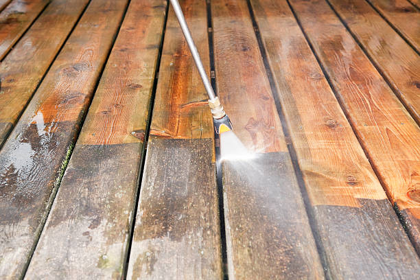Best Gutter Cleaning  in Necedah, WI